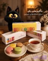 جعبه ماکارون پک 50عددی