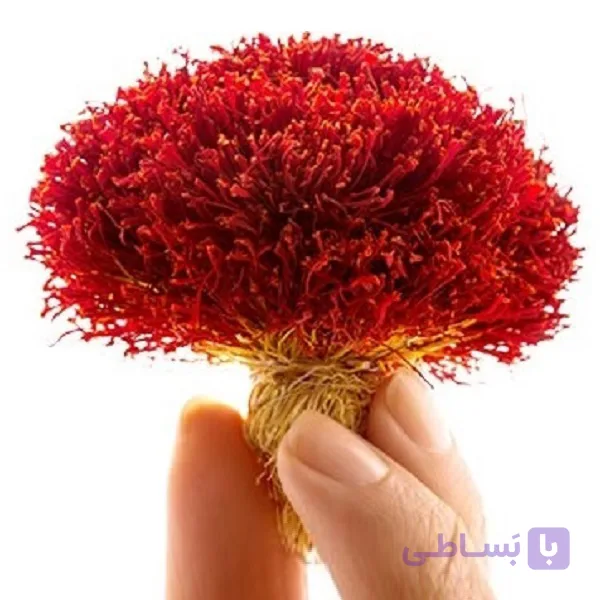 زعفران دخترپیچ