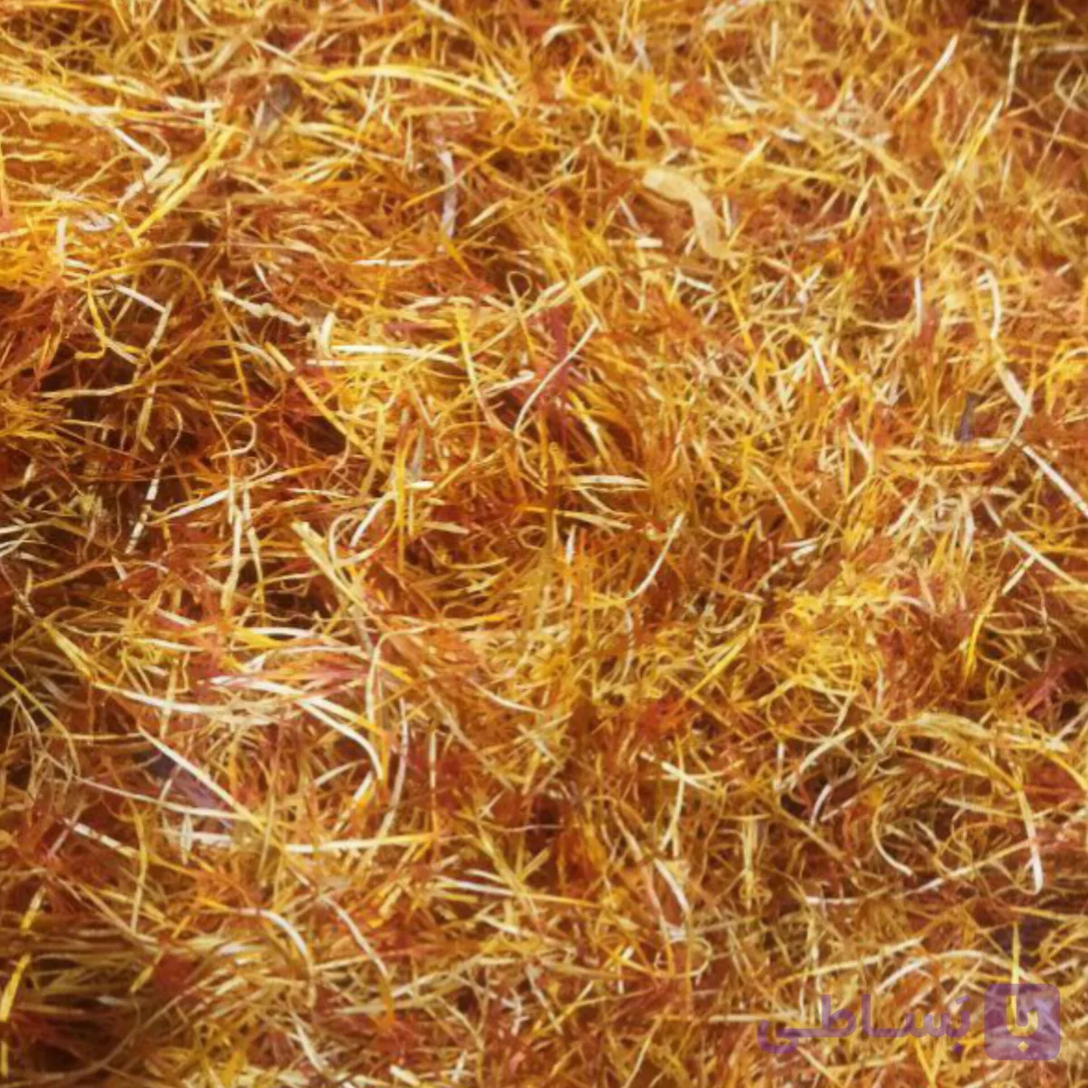زعفران ریشه پر سرخ (عمده فروشی)
