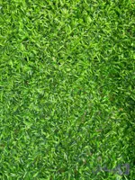 فنس چمنی چشمه 5 ایرانی