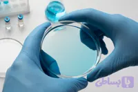 پتری دیش سایز 10