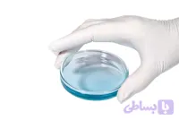 پتری دیش سایز 8
