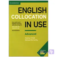 English Collocations in use Advanced