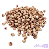 پسته فندوقی اقتصادی – خام