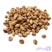 پسته فندوقی اقتصادی – نمکی