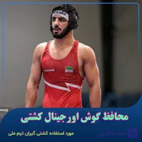 محافظ گوش کشتی