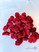 گلنار فارسی (یک کیلویی)