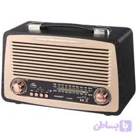 رادیو اسپیکر بلوتوثی(فرم چوب) رم و فلش خور Raiseng R-3299BT