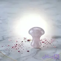 سنگ ماساژ گواشا ماشروم