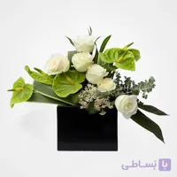 باکس رز هلندی انتریم