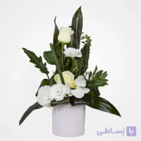 باکس گل ارکیده لیسی انتوس همراه کروتون