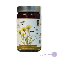 عسل رازیانه 800 گرمی