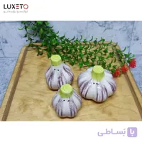 ست نمک‌ پاش سیر 3 عددی