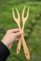 چنگال مرغ
