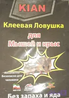 چسب موش کتابی کیان
