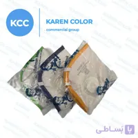 مشخصات، قیمت و خرید ماسک فیلتر دار قابل شستشوی بهمن - شهر رنگ و ابزار کارن