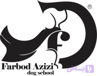 دوره آموزش آنلاین تماس تصویری