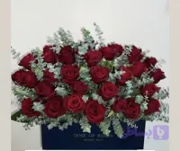 باکس رز هلندی قرمز