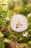 کرم حلزون ژربرا