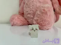 پیشی شبتاب سفید