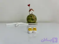 فیگور جوجه از تخم بیرون زده