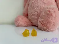 شبتاب خروس