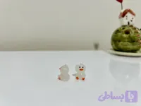 شبتاب اردک آماده باش