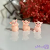 فیگور خوک کوشولو (کد NSPAZ)