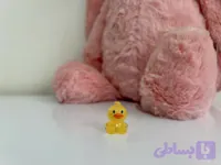 شبتاب اردک
