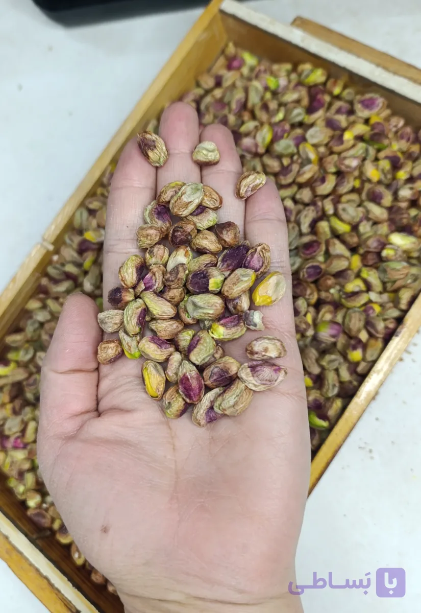 مغز پسته گلدار فندقی درجه یک