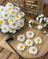شمع گل بابونه (روی آب)
