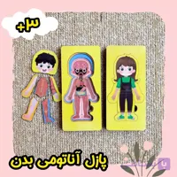 پازل آناتومی بدن انسان چوبی الگودار