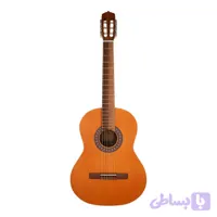 گیتار پارسی مدل M5 (کد TNKQB)