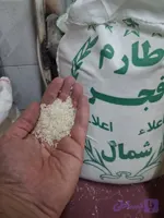 برنج فجر مجلسی
