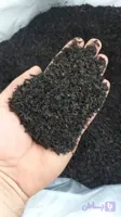 چای