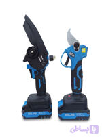 ست قیچی و اره شارژی باغبانی 20 ولت پالاس P5202K