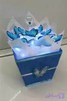 باکس پروانه