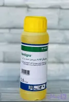 ونتیگرا باسف