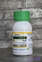 افوریا سینجنتا
