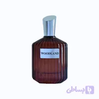 ادکلن آر کی وی وود لند RKV Woodland مردانه 100 میل