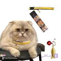 گردنبند گربه پنسی فلاور میراکل (Pansy Flower Miracle) کد Cas4