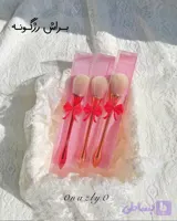 براش رژگونه هلوگرامی