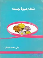 دانلود کتاب شلغم میوه بهشته اثر علی محمد افغانی | PDF