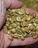 قهوه سبز ویتنام☘️