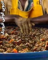 قهوه هامبلا وامنا انروبیک تازه برشت مدیوم لایت