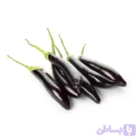 بذر بادمجان قلمی (کد ZOBP1)