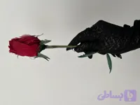 دستکش مُچی طرحدار - دستکش رانندگی