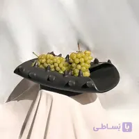 دیس پایه دار کرنوتا