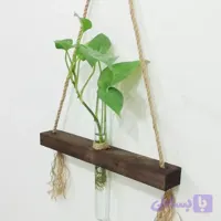 شلف چوبی با آویز کنفی همراه با لوله شیشه ای بزرگ با قابلیت رشد گیاه زنده طرح ژینوس (1)