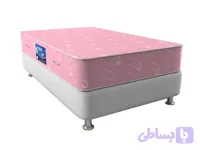 تشک پانیذ